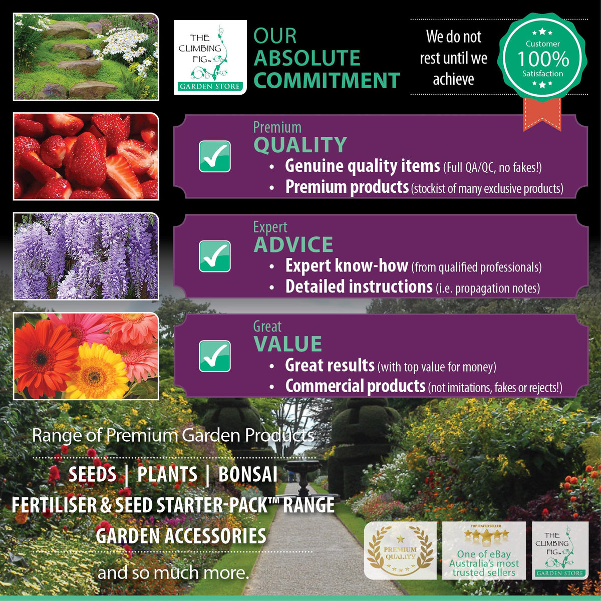 The Climbing Fig Quality and Value for 100% Customer Satisfaction