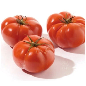 Tomato Canakkale Ozel Domates Seeds