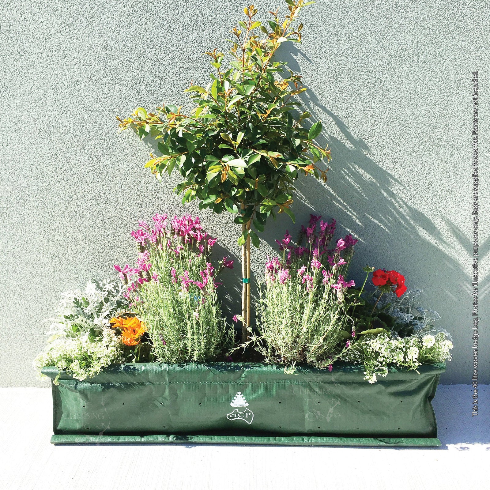 Woven Box Hedge Planter Bags