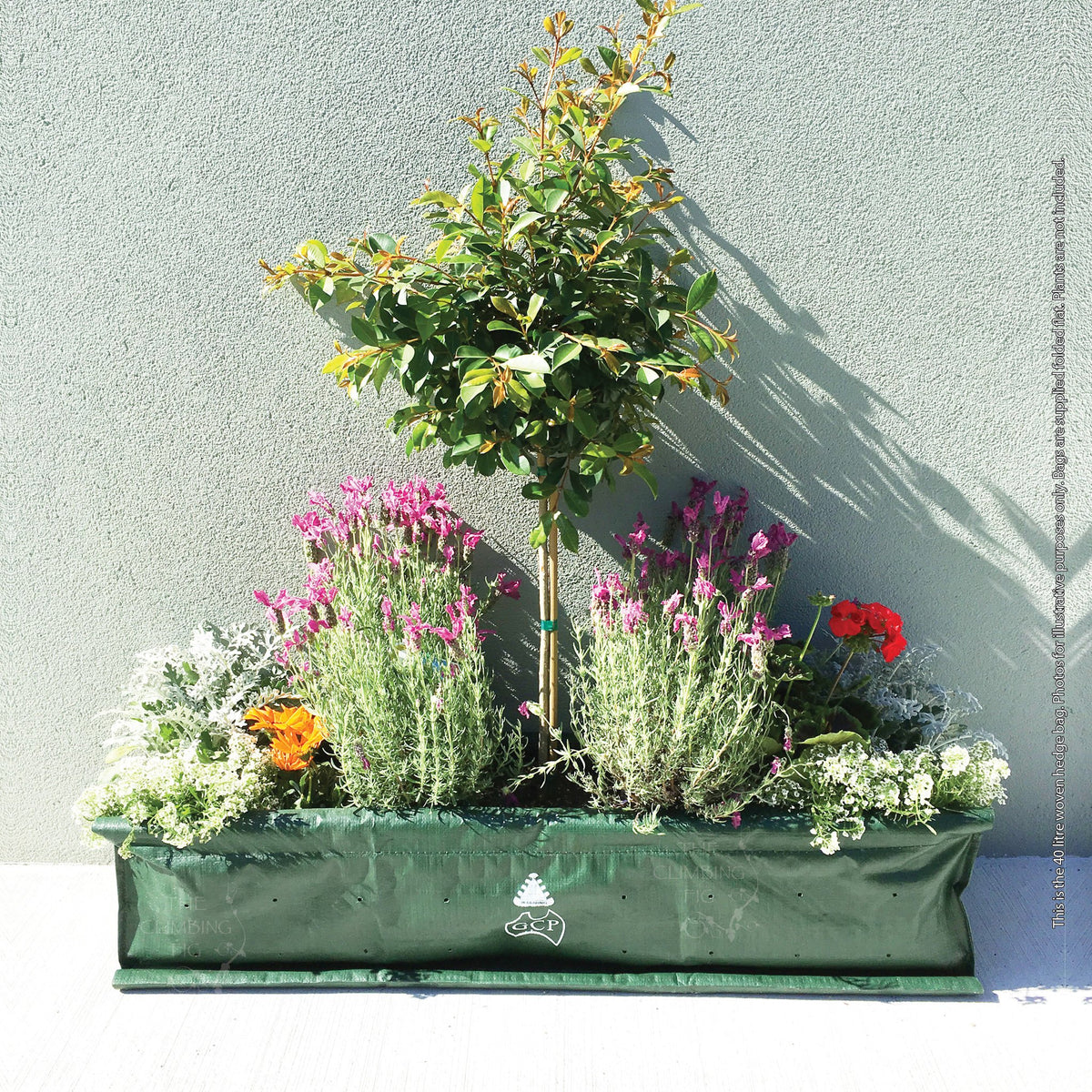 Woven hedge bags feature image