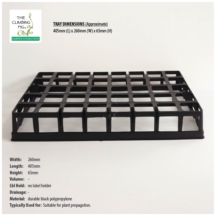 40-Cell Air Pruning Plastic Trays with 40mm Square BLACK Tube Pots Option