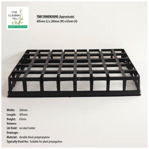 40-Cell Air Pruning Plastic Trays with 40mm Square BLACK Tube Pots Option