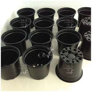 130mm Teku Round BLACK Plastic Pots. Ideal for potting seedlings herb plants