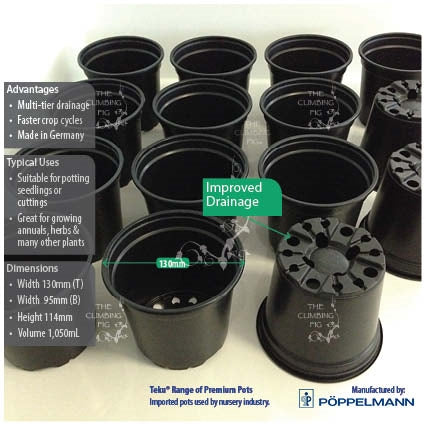 130mm Teku Round BLACK Plastic Pots. Ideal for potting seedlings herb plants